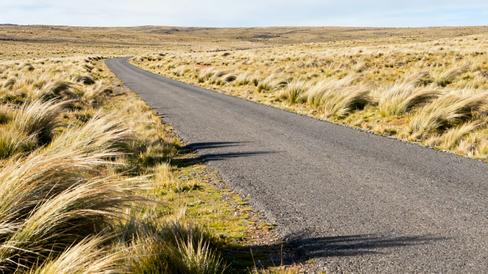 A quiet paved road across windswept patagonian grassland viewed from a rest stop