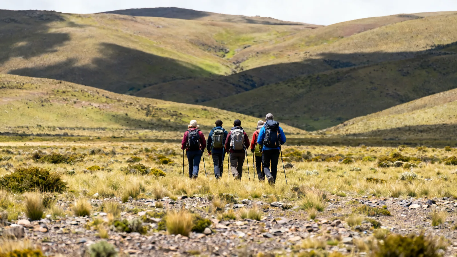 A small guided trekking group from behind in open patagonian foothills